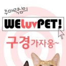 위러브펫