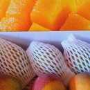 방가네농장 이미지