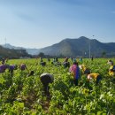 산외면행정복지센터 이미지