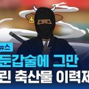 한우 둔갑의 술!…순식간에 '투플'이 된 1등급 이미지