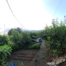 치상농장 이미지