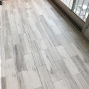 국화동성 이미지