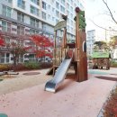 인사혁신처앞BRT 이미지