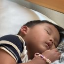 제주야 표선 | 다해네 제주살이 3일차 제주 표선해수욕장 후기