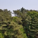 삼화빌라(내) 이미지