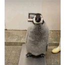 신포국제시장 이미지