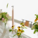 예쁜메이크업 정원 이미지