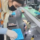 맞춤형화장품조제관리사 자격증 취득 과정 생생 후기 | 강남 교육원 수강 경험담