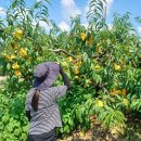 증평군 농업기술센터 이미지