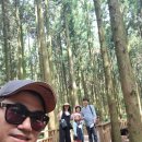 서윤의숲길 이미지