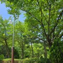 맑은내 작은도서관 이미지