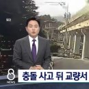 어제자 강릉대교 교통사고 이미지