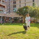 펫문화클럽 이미지