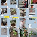 효진관 합기도 이미지