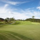 W-골프존 이미지