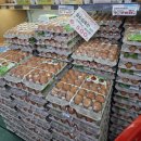 행복식자재마트 | 함덕 유드림 식자재 마트 후기｜야채·과일 저렴한 가성비 장보기