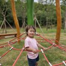 자연생활어린이집 네이버블로그