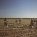 우강평야1로 이미지