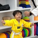 용인대 아이스타 태권도장 이미지