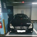 EED Pro | 드디어 구했다 w219 2줄 순정 후기형63그릴^^