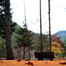 고산자연휴양림 이미지