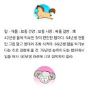 미리보는 띠별 내일의 운세 (11월3일) 이미지