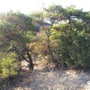 풍암한방병원 이미지