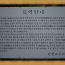 봉도니