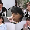 아미피아 이미지