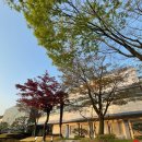 삼성문화관수영장 이미지