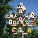 마을오리 이미지