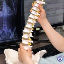 연세그리어슨신경외과의원 이미지