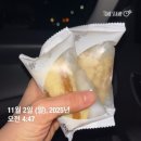 세영자원 | 부부동반 제마 풀코스 완주! 2025 JTBC 마라톤 후기 🎉🏅