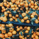 말랑달콤 이미지