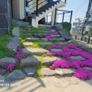 부안 더힐링휴 펜션 이미지