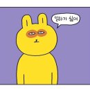 데일리쥬 - 동대문구 | 데일리쥬