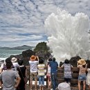 포항시청 이미지