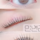 인연래쉬