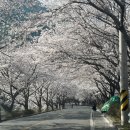 2022-03-0338 | 일본골프여행 - 후지산 뷰가 멋진 시즈오카 후지클래식 (FUJI CLASSIC) 라운딩
