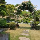 실로암 힐링홈 이미지