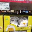 트레이더스 홀세일 클럽 군포점
