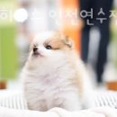 몽몽이하우스 인천연수점 이미지