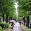 입암시장 이미지