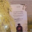 바디튠마사지살롱일산