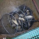 소로낚시터 이미지