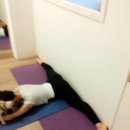 성인 스트레칭 발레 이미지