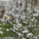 협성대학교 예술대학원 이미지