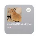 최애아카이부 2025 연말결산 [통합편(1)] 이미지