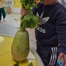 해피키즈어린이집 | 16개월~세돌아기 어린이집 활동복 , 편하게 입혔던 등원룩 브랜드 5곳 추천