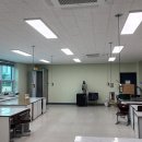 금암초등학교 이미지